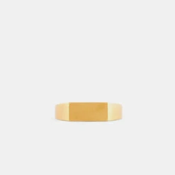 Gold Brushed Rectangle Ring -Serge DeNimes Jewelry Shop Gold Brushed Rectangle Ring Product Shot 2 Grey dc1c4f62 f565 4150 8b90 fe7fdb84cca7