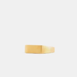 Gold Brushed Rectangle Ring -Serge DeNimes Jewelry Shop Gold Brushed Rectangle Ring Product Shot Grey