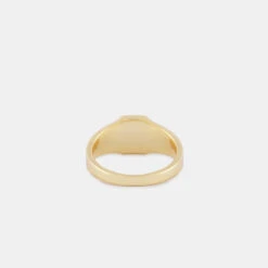 Gold Halcyon Ring 13 Gold Halcyon Ring -Serge DeNimes Jewelry Shop Gold Halcyon Ring Grey 3 Product Shot 65f92d5e 0f35 45e0 87e1 2e0dd7267195