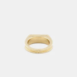 Gold Moonlight Ring -Serge DeNimes Jewelry Shop Gold Moonlight Ring Product Shot Tilt 3 Grey