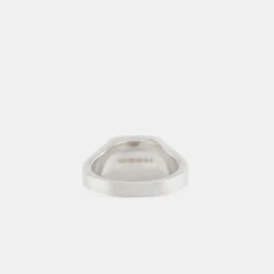 Silver Brushed Cushion Ring -Serge DeNimes Jewelry Shop Silver Brushed Cushion Ring Product Shot 4 Grey