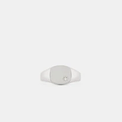 Silver Diamond Birthstone Ring 12 Silver Diamond Birthstone Ring -Serge DeNimes Jewelry Shop Silver Diamond Birthstone Ring Product Shot 2 Grey 06a3772b 1d4b 4685 9f5e b92877bb7ded