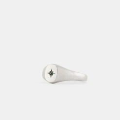 Silver Envy Signet Ring 17 Silver Envy Signet Ring -Serge DeNimes Jewelry Shop Silver Envy Ring Product Shot 2 Grey be9957e0 6eac 496c bde3 d117309c737a