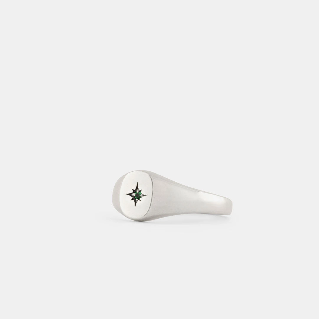 Silver Envy Signet Ring 7 Silver Envy Signet Ring - Image 5