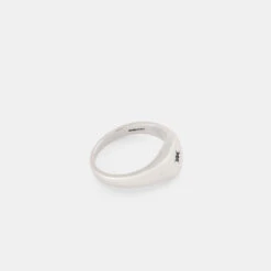 Silver Envy Signet Ring 18 Silver Envy Signet Ring -Serge DeNimes Jewelry Shop Silver Envy Ring Product Shot 4 Grey