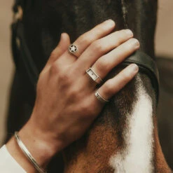 Silver Wild West Ring -Serge DeNimes Jewelry Shop Silver Sheriff Moonlight Wild West Ring2 59cba3f7 5f0d 4c3a 89ad f2603b662d0c