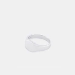 Silver Signet Ring -Serge DeNimes Jewelry Shop Silver Signet Ring Product Shot Tilt 2 Grey