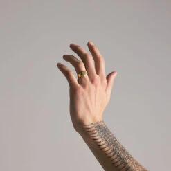 Gold Signet Ring 17 Gold Signet Ring -Serge DeNimes Jewelry Shop gold signet ring model shot